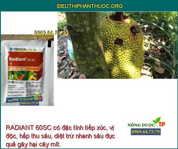 RADIANT 60SC có đặc tính tiếp xúc, vị độc, hấp thu sâu, diệt trừ nhanh sâu đục quả gây hại cây mít.