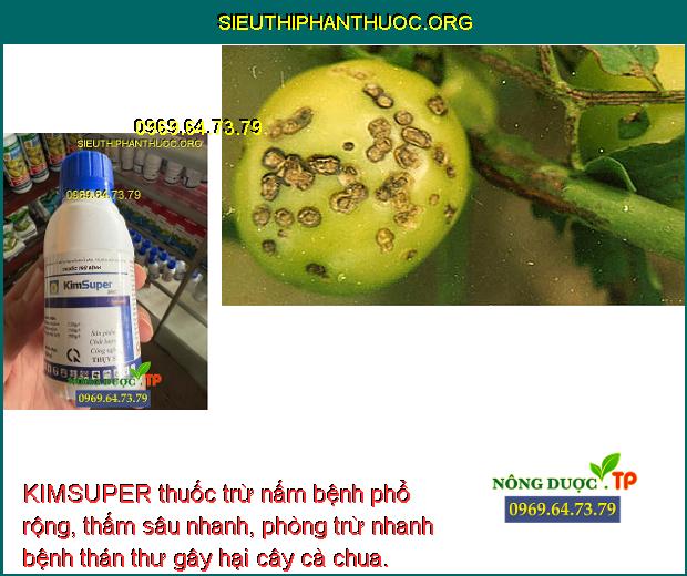 KIMSUPER thuốc trừ nấm bệnh phổ rộng, thấm sâu nhanh, phòng trừ nhanh bệnh thán thư gây hại cây cà chua.