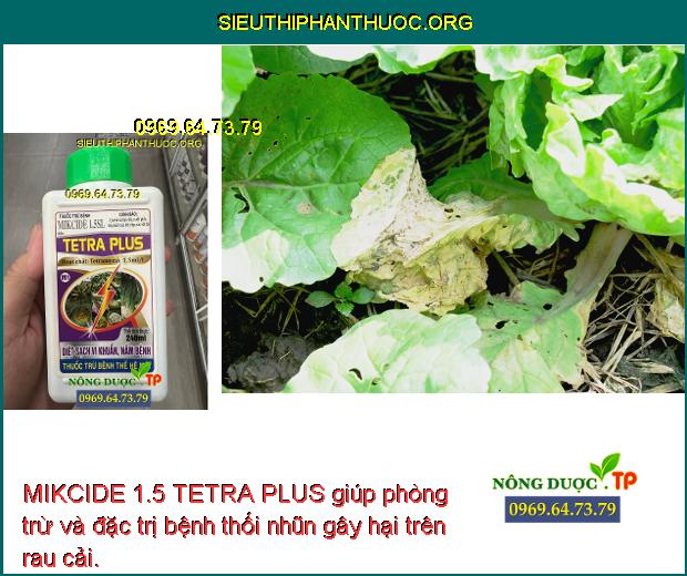 MIKCIDE 1.5 TETRA PLUS giúp phòng trừ và đặc trị bệnh thối nhũn gây hại trên rau cải.