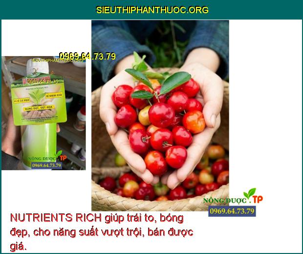 NUTRIENTS RICH giúp trái to, bóng đẹp, cho năng suất vượt trội, bán được giá.