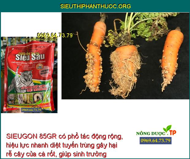 SIEUGON 85GR có phổ tác động rộng, hiệu lực nhanh diệt tuyến trùng gây hại rễ cây của cà rốt, giúp sinh trưởng mạnh. 