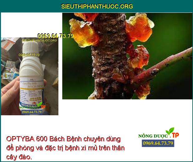 OPTYBA 600 Bách Bệnh chuyên dùng để phòng và đặc trị bệnh xì mủ trên thân cây đào.