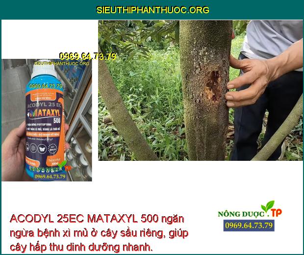 ACODYL 25EC MATAXYL 500 ngăn ngừa bệnh xì mủ ở cây sầu riêng, giúp cây hấp thu dinh dưỡng nhanh.