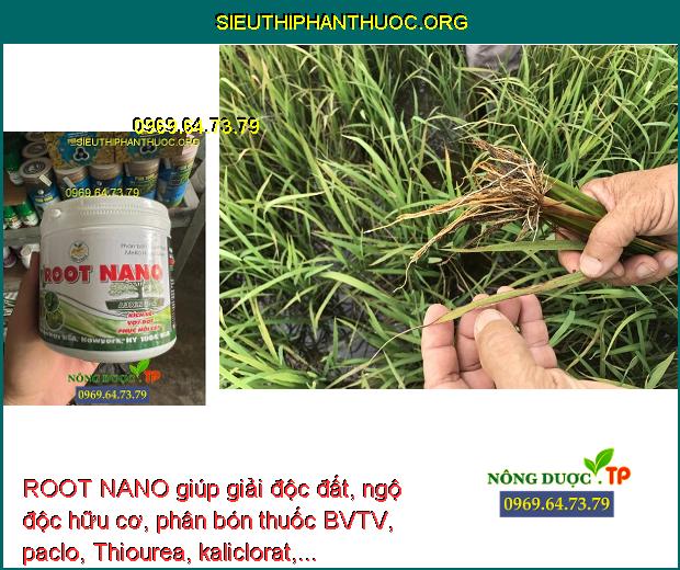 ROOT NANO giúp giải độc đất, ngộ độc hữu cơ, phân bón thuốc BVTV, paclo, Thiourea, kaliclorat,...