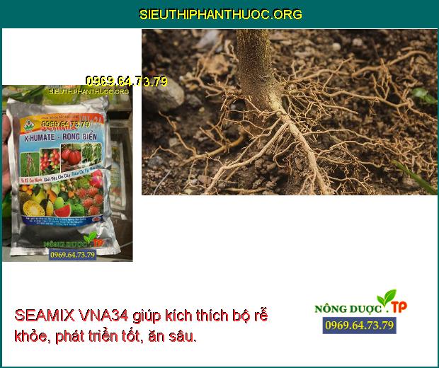 SEAMIX VNA34 giúp kích thích bộ rễ khỏe, phát triển tốt, ăn sâu.