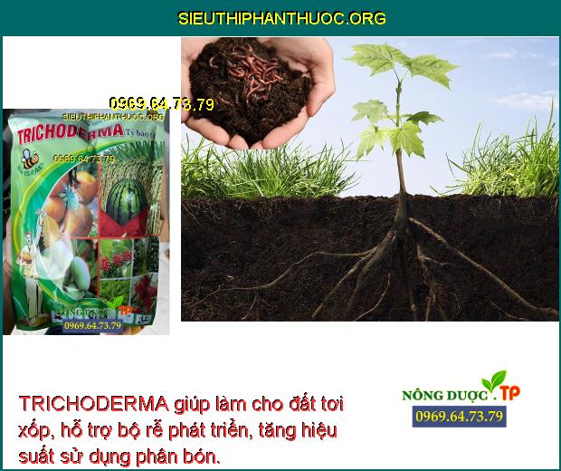 TRICHODERMA giúp làm cho đất tơi xốp, hỗ trợ bộ rễ phát triển, tăng hiệu suất sử dụng phân bón.