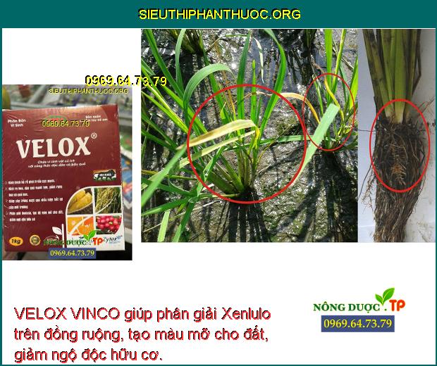 VELOX VINCO giúp phân giải Xenlulo trên đồng ruộng, tạo màu mỡ cho đất, giảm ngộ độc hữu cơ.