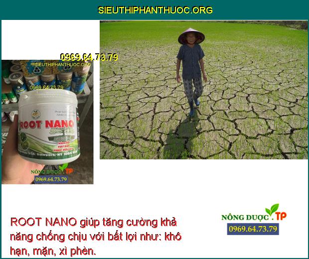 ROOT NANO giúp tăng cường khả năng chống chịu với bất lợi như: khô hạn, mặn, xì phèn.