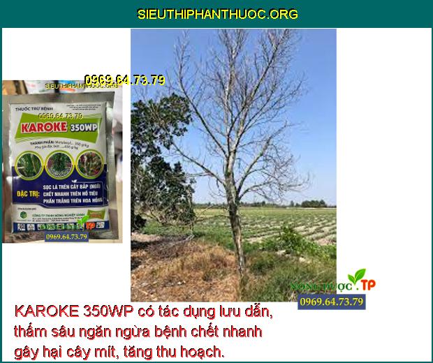 KAROKE 350WP có tác dụng lưu dẫn, thấm sâu ngăn ngừa bệnh chết nhanh gây hại cây mít, tăng thu hoạch.