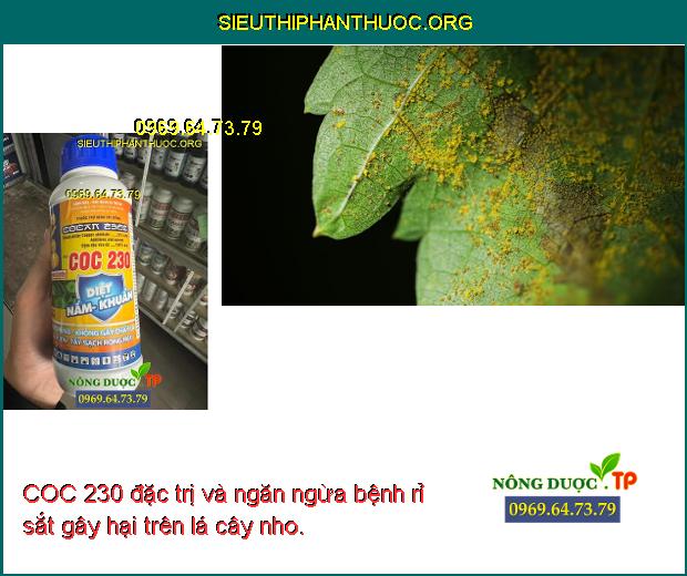 COC 230 đặc trị và ngăn ngừa bệnh rỉ sắt gây hại trên lá cây nho.