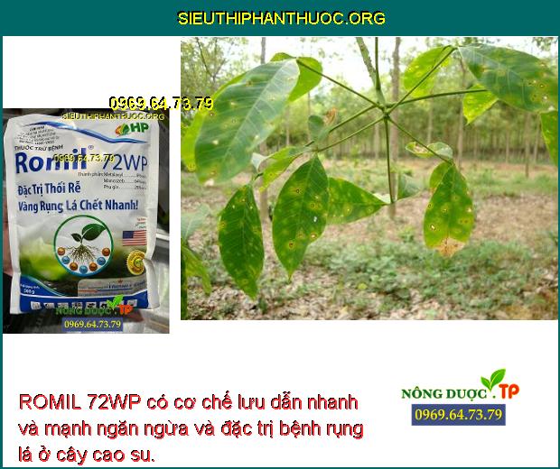 ROMIL 72WP có cơ chế lưu dẫn nhanh và mạnh ngăn ngừa và đặc trị bệnh rụng lá ở cây cao su.