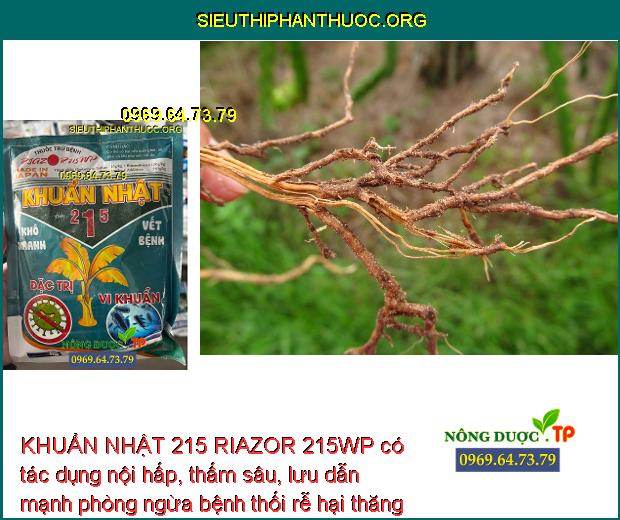 KHUẨN NHẬT 215 RIAZOR 215WP có tác dụng nội hấp, thấm sâu, lưu dẫn mạnh phòng ngừa bệnh thối rễ hại thăng long.