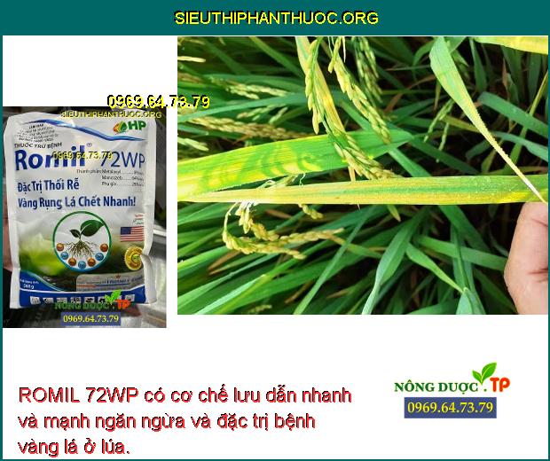 ROMIL 72WP có cơ chế lưu dẫn nhanh và mạnh ngăn ngừa và đặc trị bệnh vàng lá ở lúa.