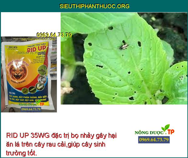 RID UP 35WG đặc trị bọ nhảy gây hại ăn lá trên cây rau cải,giúp cây sinh trưởng tốt.