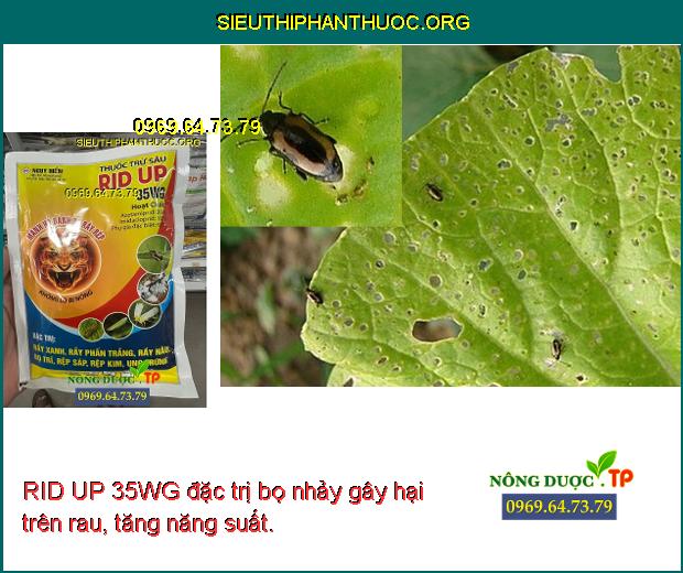 RID UP 35WG đặc trị bọ nhảy gây hại trên rau, tăng năng suất.