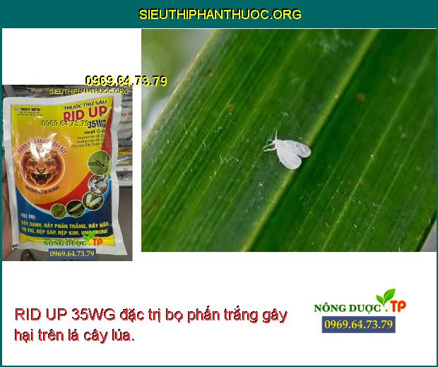 RID UP 35WG đặc trị bọ phấn trắng gây hại trên lá cây lúa.