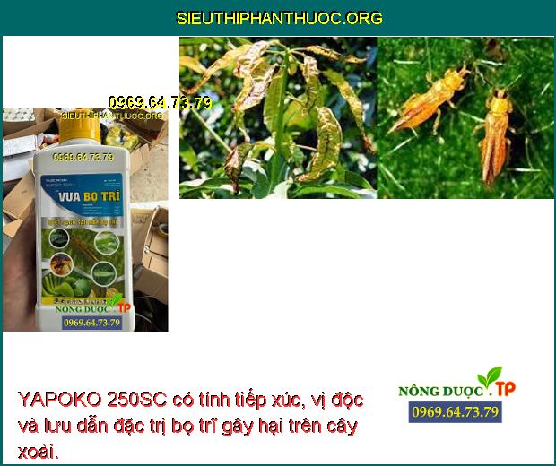 YAPOKO 250SC có tính tiếp xúc, vị độc và lưu dẫn đặc trị bọ trĩ gây hại trên cây xoài.