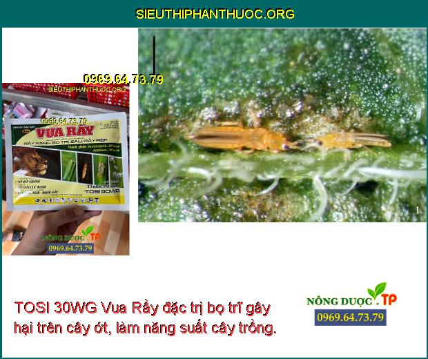 TOSI 30WG Vua Rầy đặc trị bọ trĩ gây hại trên cây ớt, làm năng suất cây trồng.