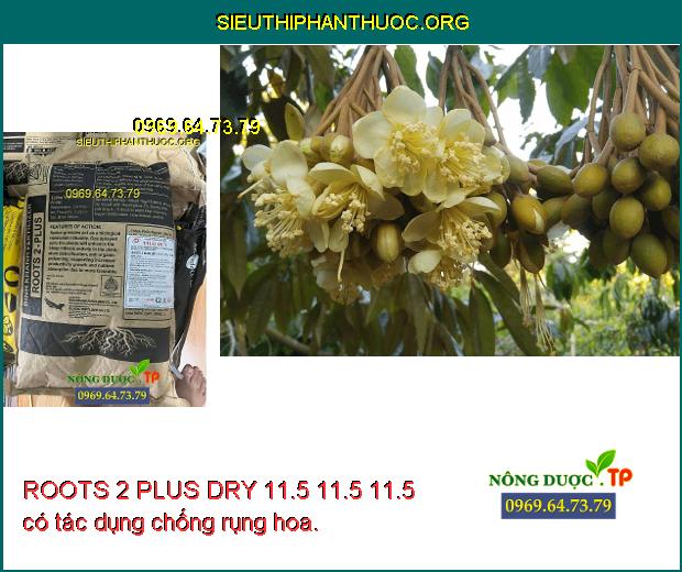 ROOTS 2 PLUS DRY 11.5 11.5 11.5 có tác dụng chống rụng hoa.