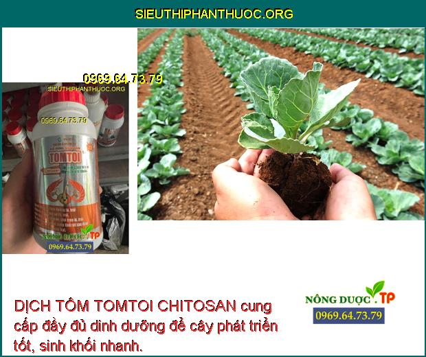 DỊCH TÔM TOMTOI CHITOSAN cung cấp đầy đủ dinh dưỡng để cây phát triển tốt, sinh khối nhanh.