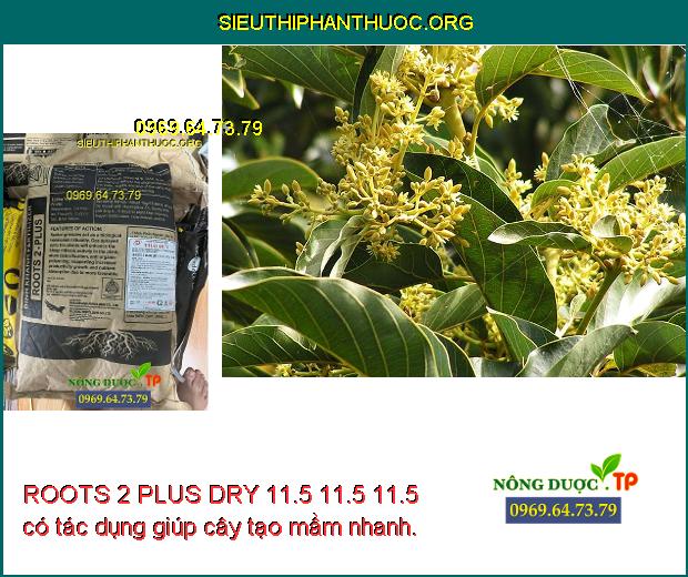 ROOTS 2 PLUS DRY 11.5 11.5 11.5 có tác dụng giúp cây tạo mầm nhanh.