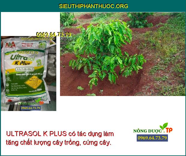 ULTRASOL K PLUS có tác dụng làm tăng chất lượng cây trồng, cứng cây. 