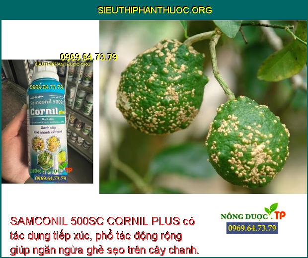 SAMCONIL 500SC CORNIL PLUS có tác dụng tiếp xúc, phổ tác động rộng giúp ngăn ngừa ghẻ sẹo trên cây chanh.