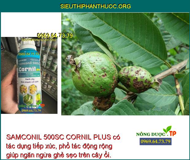 SAMCONIL 500SC CORNIL PLUS có tác dụng tiếp xúc, phổ tác động rộng giúp ngăn ngừa ghẻ sẹo trên cây ổi.