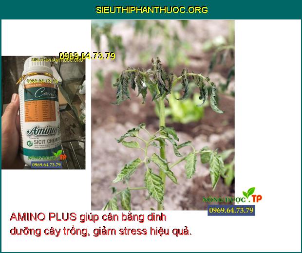 AMINO PLUS giúp cân bằng dinh dưỡng cây trồng, giảm stress hiệu quả.