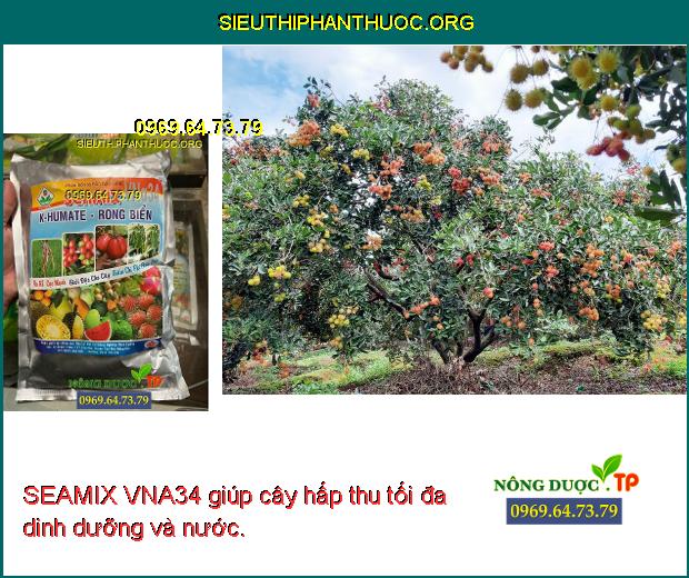 SEAMIX VNA34 giúp cây hấp thu tối đa dinh dưỡng và nước.