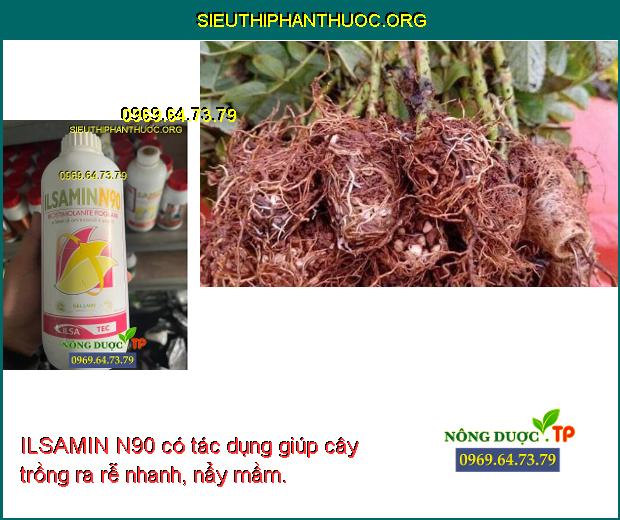 ILSAMIN N90 có tác dụng giúp cây trồng ra rễ nhanh, nẩy mầm.