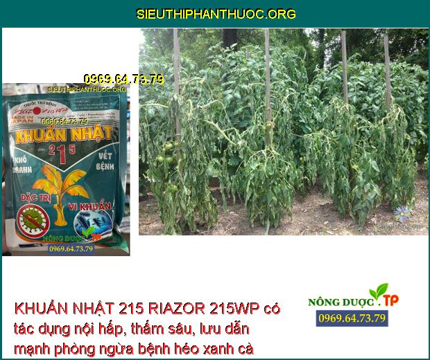 KHUẨN NHẬT 215 RIAZOR 215WP có tác dụng nội hấp, thấm sâu, lưu dẫn mạnh phòng ngừa bệnh héo xanh cà chua.