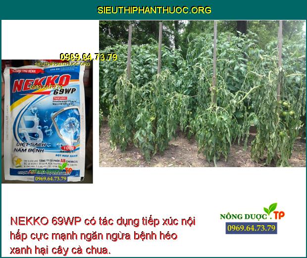 NEKKO 69WP có tác dụng tiếp xúc nội hấp cực mạnh ngăn ngừa bệnh héo xanh hại cây cà chua.