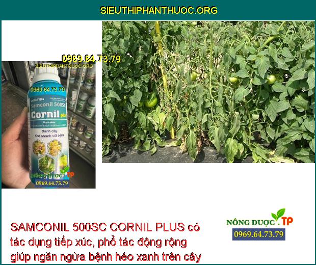 SAMCONIL 500SC CORNIL PLUS có tác dụng tiếp xúc, phổ tác động rộng giúp ngăn ngừa bệnh héo xanh trên cây cà chua.