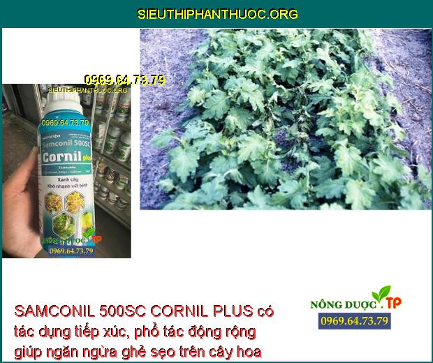 SAMCONIL 500SC CORNIL PLUS có tác dụng tiếp xúc, phổ tác động rộng giúp ngăn ngừa ghẻ sẹo trên cây hoa cúc.