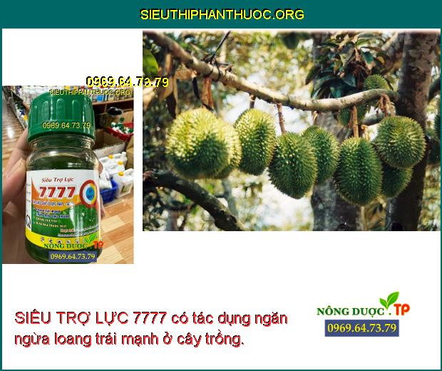 SIÊU TRỢ LỰC 7777 có tác dụng ngăn ngừa loang trái mạnh ở cây trồng.