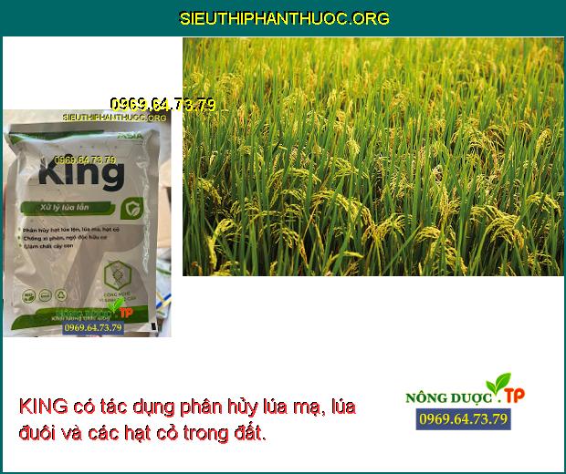 KING có tác dụng phân hủy lúa mạ, lúa đuôi và các hạt cỏ trong đất.