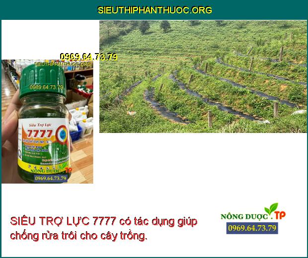 SIÊU TRỢ LỰC 7777 có tác dụng giúp chống rửa trôi cho cây trồng.