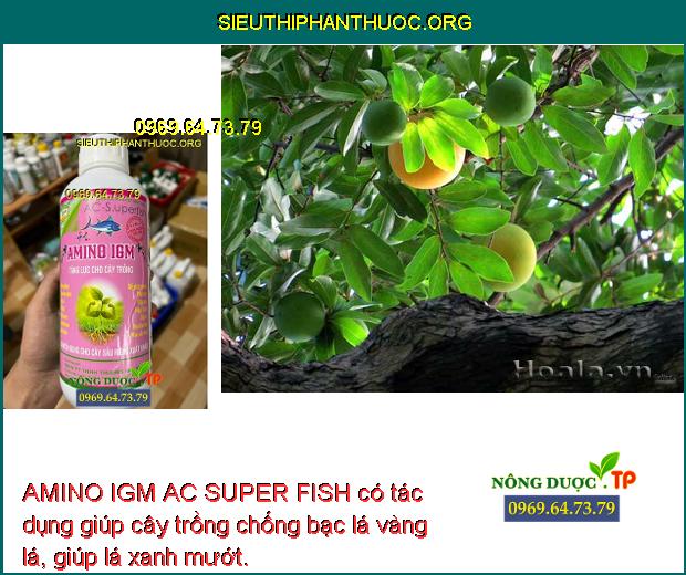 AMINO IGM AC SUPER FISH có tác dụng giúp cây trồng chống bạc lá vàng lá, giúp lá xanh mướt.