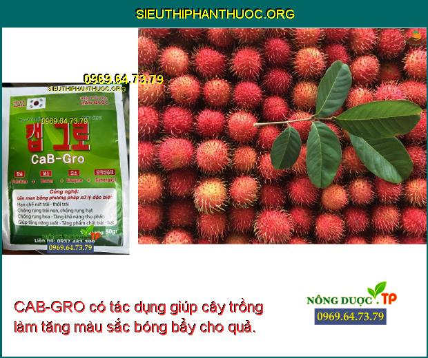CAB-GRO có tác dụng giúp cây trồng làm tăng màu sắc bóng bẩy cho quả.