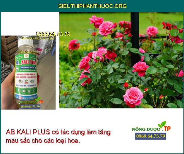 AB KALI PLUS có tác dụng làm tăng màu sắc cho các loại hoa.