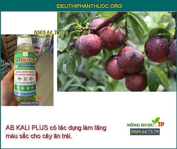 AB KALI PLUS có tác dụng làm tăng màu sắc cho cây ăn trái.