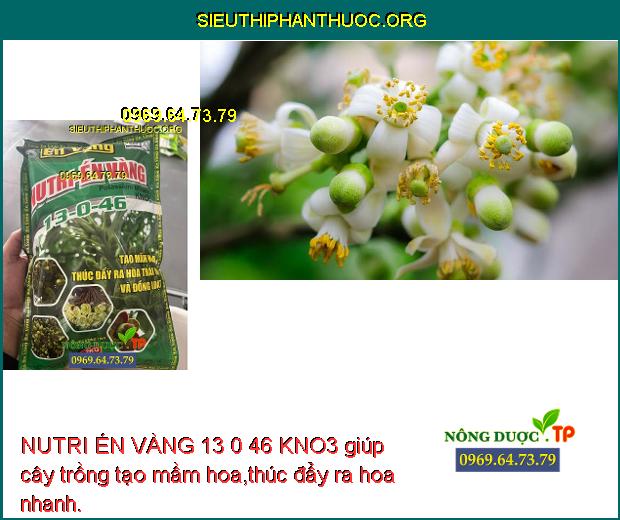 NUTRI ÉN VÀNG 13 0 46 KNO3 giúp cây trồng tạo mầm hoa,thúc đẩy ra hoa nhanh.