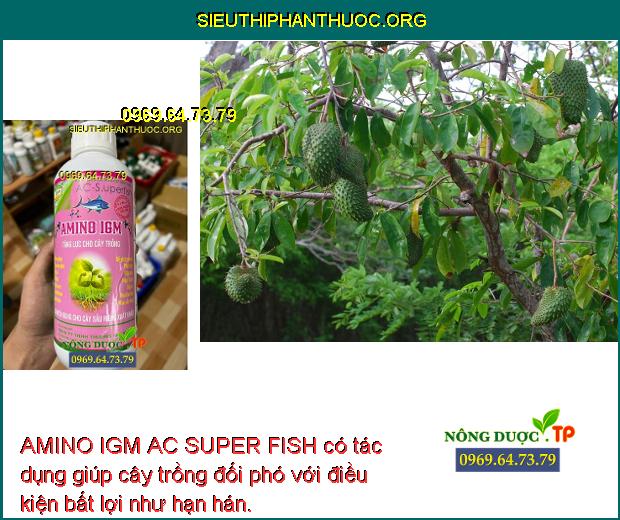 AMINO IGM AC SUPER FISH có tác dụng giúp cây trồng đối phó với điều kiện bất lợi như hạn hán.