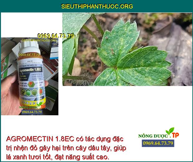 AGROMECTIN 1.8EC Đặc Trị Nhện Đỏ- Nhện Gié- Sâu Tơ- Bọ Nhảy- Sâu Xanh ...