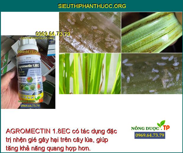 AGROMECTIN 1.8EC Đặc Trị Nhện Đỏ- Nhện Gié- Sâu Tơ- Bọ Nhảy- Sâu Xanh ...
