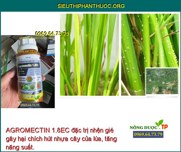 AGROMECTIN 1.8EC đặc trị nhện gié gây hại chích hút nhựa cây của lúa, tăng năng suất.