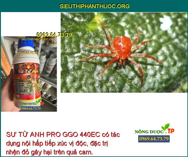 SƯ TỬ ANH PRO GGO 440EC có tác dụng nội hấp tiếp xúc vị độc, đặc trị nhện đỏ gây hại trên quả cam.