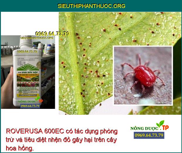 ROVERUSA 600EC có tác dụng phòng trừ và tiêu diệt nhện đỏ gây hại trên cây sầu riêng.