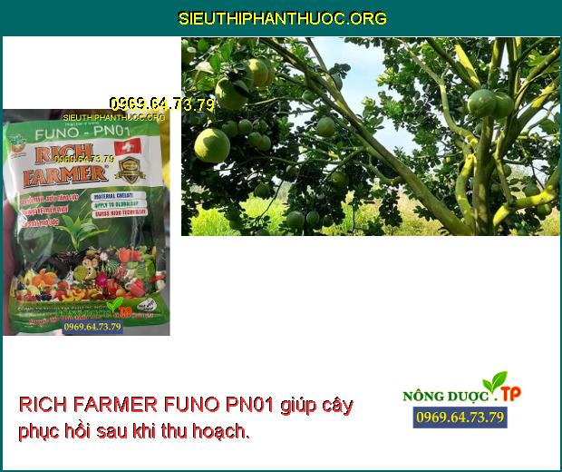 RICH FARMER FUNO PN01 giúp cây phục hồi sau khi thu hoạch.